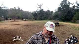 Joe Gee - The Dog Park Concerts - Episode 25 - 'The Ballad Of The Cuban Sandwich'