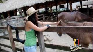 preview picture of video '¡La Mochilera a caballo!'