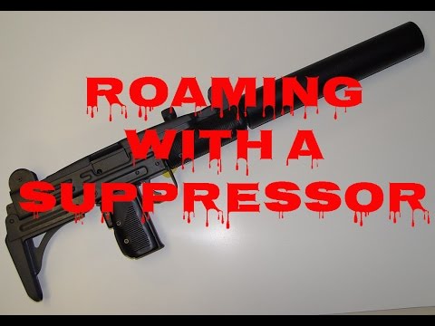 Roaming with a Suppressor - Rainbow Six Siege