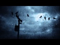 Summer Fades Away - Mercy 