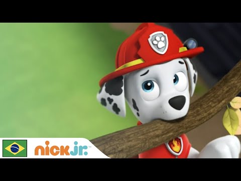 Capa de Patrulha Canina | Os Filhotes Salvam o Dia da Amizade | Nick Jr. em Português