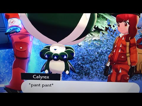 Pokémon Sword/Shield Crown Tundra DLC: Calyrex Has Seen Some Unholy Things..!