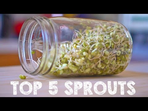 Top 5 Sprouts You Must Grow Video