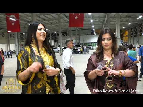 Dilan Rojava & Derikli Şahin Kaya Ailesi Henna Highlights 2025