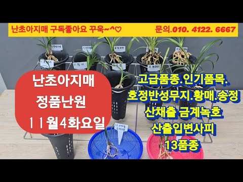 유튜브 썸네일