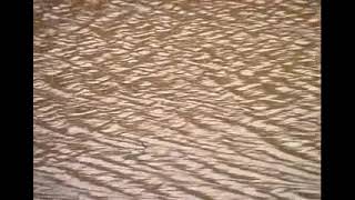 Download lagu Arrow - Selimutkan Ku Dengan Asmaramu mp3 Download lagu Arrow - Selimutkan Ku Dengan Asmaramu mp3