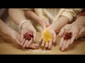 Open video