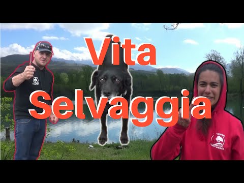 Ultrasuoni per il trattamento della malattia degenerativa del disco Sostituzione del ginocchio a Syktyvkar