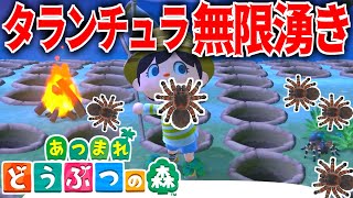【あつ森】タランチュラが無限湧きするタランチュラ島がやばいｗｗｗ【あつまれ どうぶつの森】
