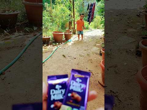 Chocolate kon khaayega 🍫#youtubeshorts#comedyvideos#chocolate#cutebaby#shortsfeed#reyaansh