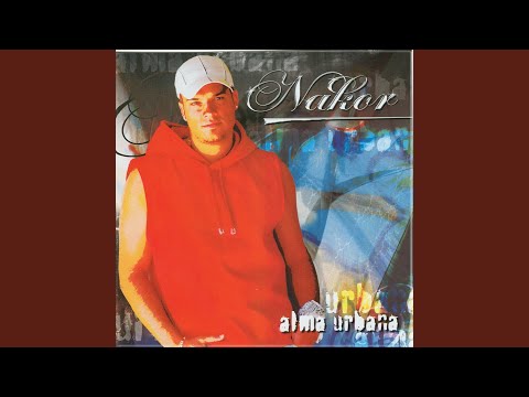 Gatas Contra La Pared