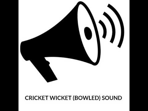 cricket wicket (Bowled) sound For Cricket video editors❤️