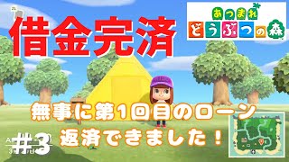【あつ森実況】あつまれどうぶつの森～悪徳たぬきとたのしい借金ライフ#3