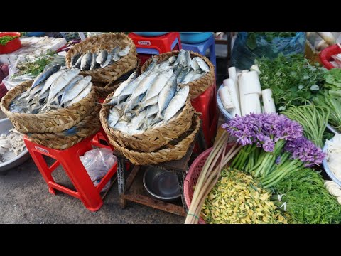 Amazing Women Cooking & Make Soup Noodle in Market - Many Different Fresh Food, Fish, Beef, Pork