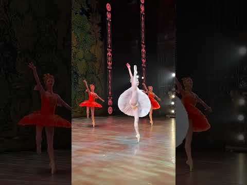 Konyok Gorbunok/The Little Humpbacked Horse - Mikhailovsky Theatre