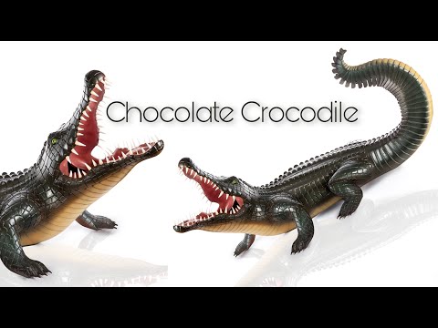 I turned a life-size Crocodile into Chocolate!