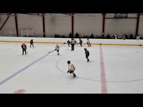 U12 ILVES DEVILS - PINGVIINIT