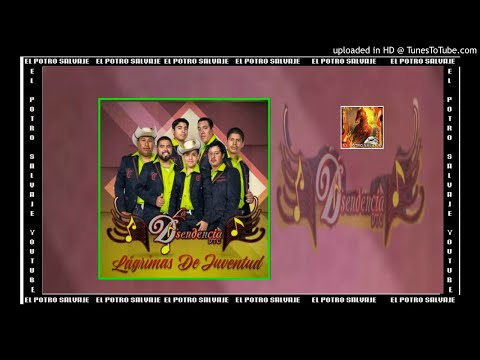 LAGRIMAS DE JUVENTUD — LA DSENDENCIA DTC.