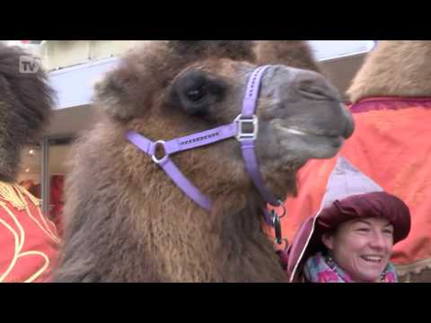 TVS: Hodonin 10. 1. 2017