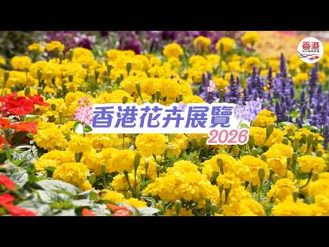 2026年香港花卉展覽現正舉行