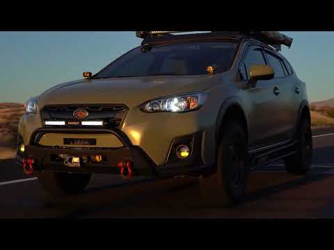 RIGID Dual Color Fog Lights