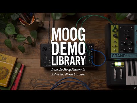 Синтезатор аналогового моделювання MOOG SPECTRAVOX