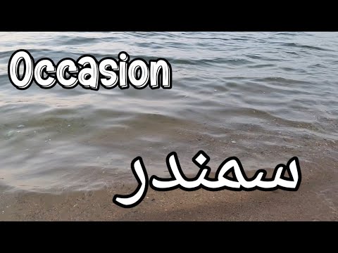 Relaxing Sea Shore Sounds for Deep, Peaceful Sleep | Calming Ocean Waves