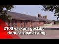 De hulp die hij kreeg van familie, vrienden en kennissen heeft hem goed gedaan. Maar het verlies ...
