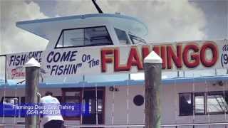 preview picture of video 'Fort Lauderdale Fishing - Flamingo Deep Sea Fishing in Fort lauderdale'