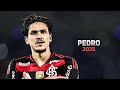 Pedro 2025 Flamengo Amazing Skills Goals Assists HD