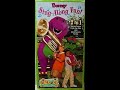 Barney S Sing Along Fun Full 2003 HIT Entertainment VHS