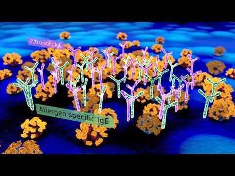 ALEX2 (ALlergy EXplorer) - Meccanismo d’azione dell’ Inibizione dei CCD su Alex2