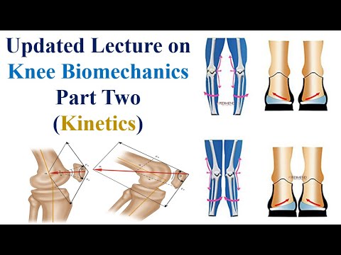 Updated Lecture on Knee Biomechanics - Part Two (Kinetics)