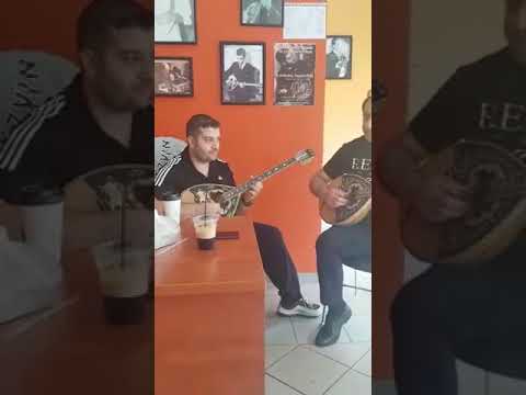 Aviko bouzouki -karantinis