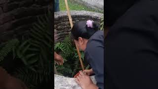 Download lagu menyelamatkan kucing jatuh dari sumur #pecintakucing #rd.wijaya mp3