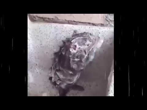 Akshith Taking Shower ,Thank you for support|