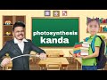 Photosynthesis Kanda