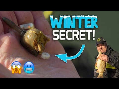The SECRET winter hookbait! | Jamie Hughes Feeder Tip!