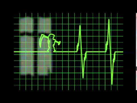 Voli x Loku - Niech już tak zostanie