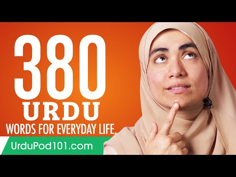 380 Urdu Words for Everyday Life - Basic Vocabulary #19