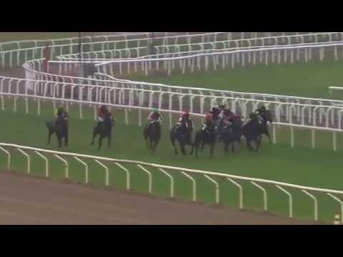 2014.10.12 Vinterfavoriternas Pris (SWE) - Quarterback