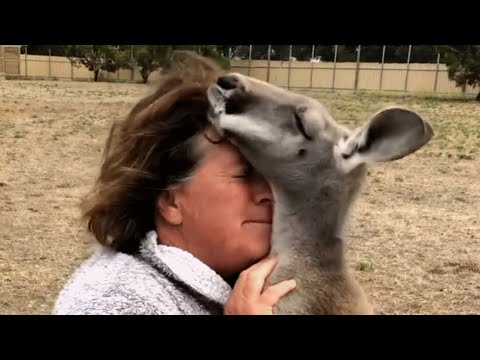 Grandma Loves Her Kangaroo