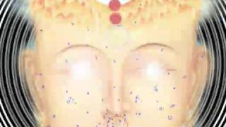 The Nature Of Citta According To The Yoga Sutra