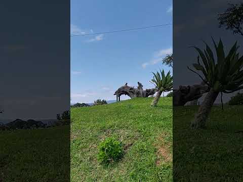 Pousada sítio colina em Presidente Nereu SC #birds #nature #naturezasurpreendente
