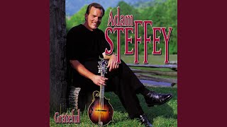 Adam Steffey Chords