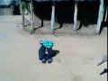 Limpopo Witch