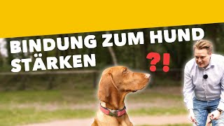 Vorschaubild für Youtube-Video