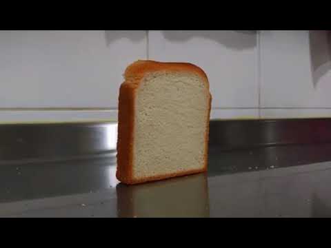 pão caindo impossível não rir