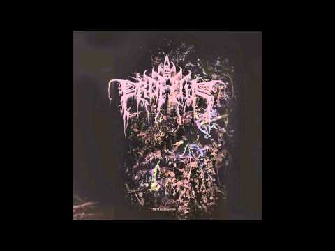 Profetus ~Dead Are Our Leaves Of Autumn