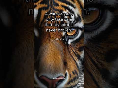 Warrior mindset: never break, always slay 🛡️ #Shorts #resilience #viral #habits